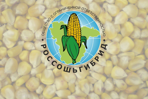 Гибрид кукурузы Воронежский 150 СВ