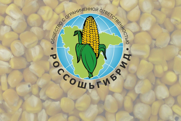 Гибрид кукурузы Воронежский 162 СВ